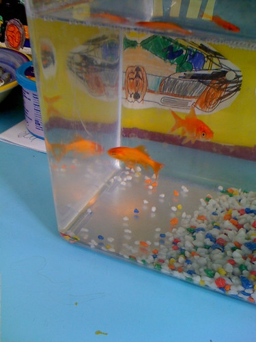 cool goldfish tank. gold fish tank