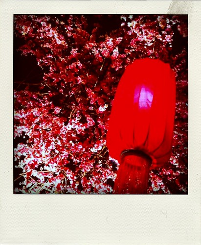 The Red Latern
