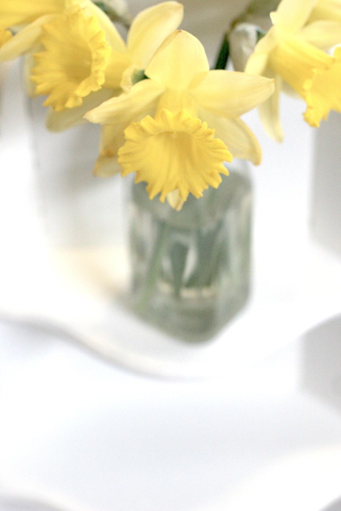 #3: daffodils from TJs