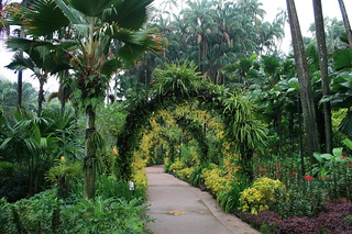 Singapore Botanical gardens
