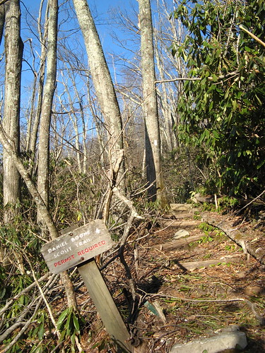 Daniel Boone  Scout Trail