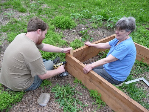 building the raised beds
