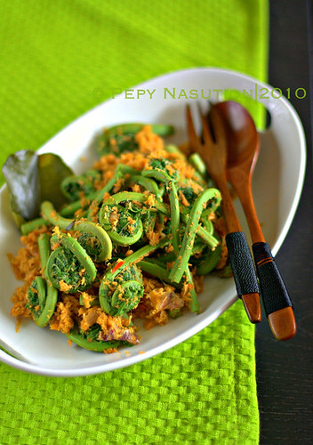 Anyang Pakis - North Sumatran Fiddleheads with Spicy Grated Coconut