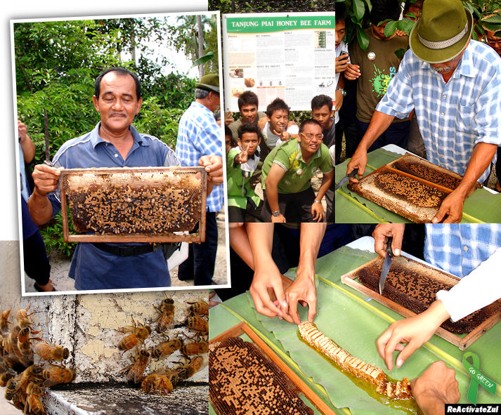 Go Green - Honey Bee Farm