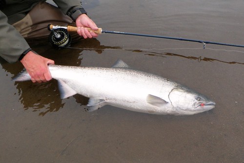 Spring Chinook Fly Fishing in Oregon