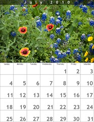 July 2010 Calendar