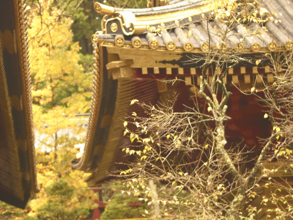 Excursión a Nikko - Japón en Otoño (1)