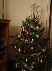 Christmas tree 09