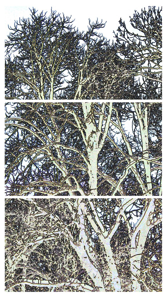 2010 janvier 13 - neige 011 - composition contours lumineux négatif