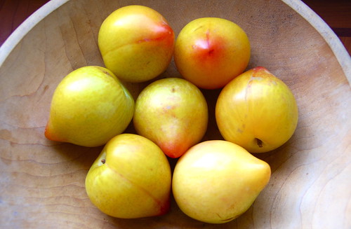 lemon plums (?!)