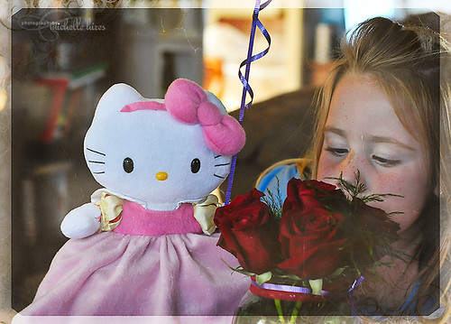 Hello Kitty - 45/365 Photo