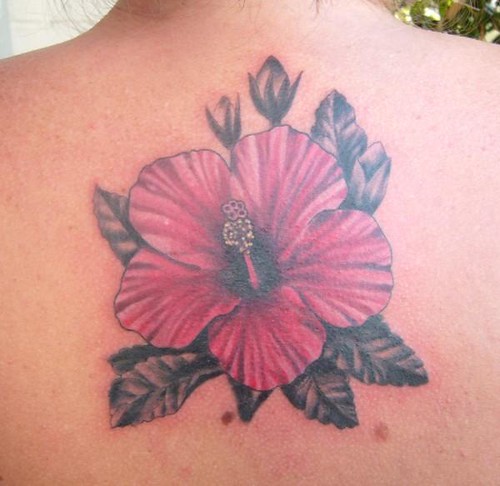 japanese flower tattoo flash. free tattoo design fairy flash, rose flash, rose tattoo, flower tattoo,