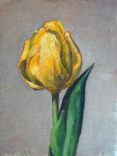 tulip - a daily painting