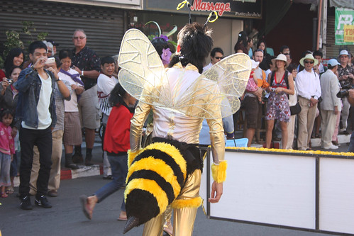 A bee at the Chiang Mai Flower Festival Parade