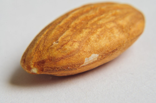 Some macro experiments: Almond