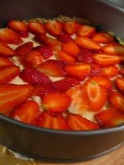 Layering the strawberries