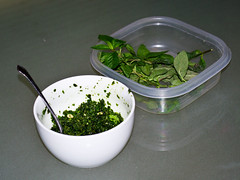 Homemade Mint Pesto