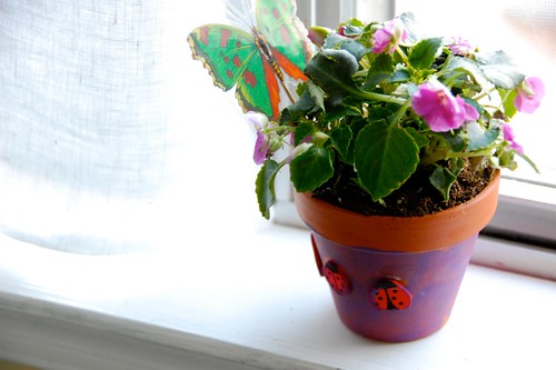 Mother's Day potted plant