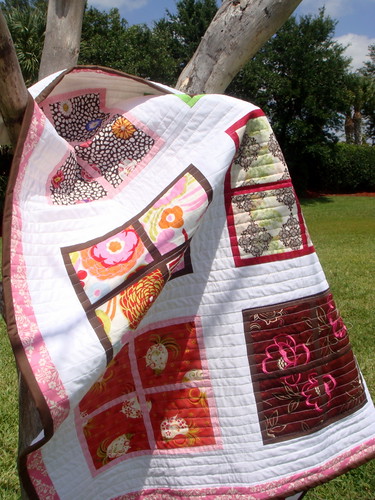 Windows Quilt in a Tree