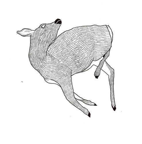 dead deer II