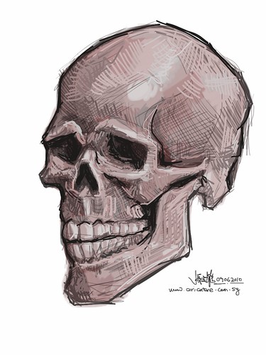 live sketching of skull on iPad