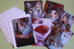 The Darling Cards