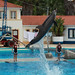 Golfinhos a Saltar III / Dolphins Jumping III
