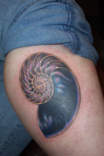 nautilus shell · nautilus shell tattoo · tattoo · iridescent nautilus 