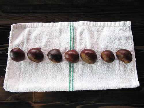 big chestnuts