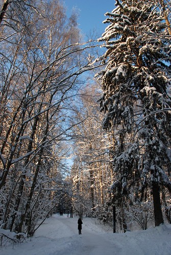 Winter ©  akk_rus