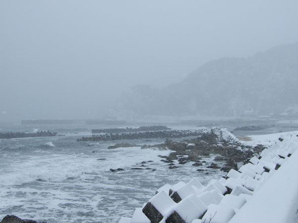 The sea and snow