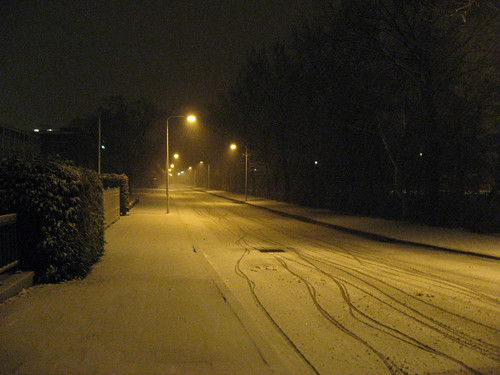 Midnight walk in the snow