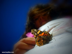 Angie y la mariposa