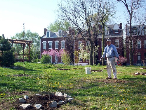 planting trees in the Hebert St garden (courtesy of ONSL Restoration Group)