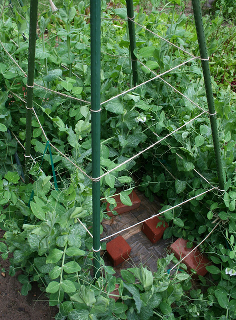 snow pea support tower