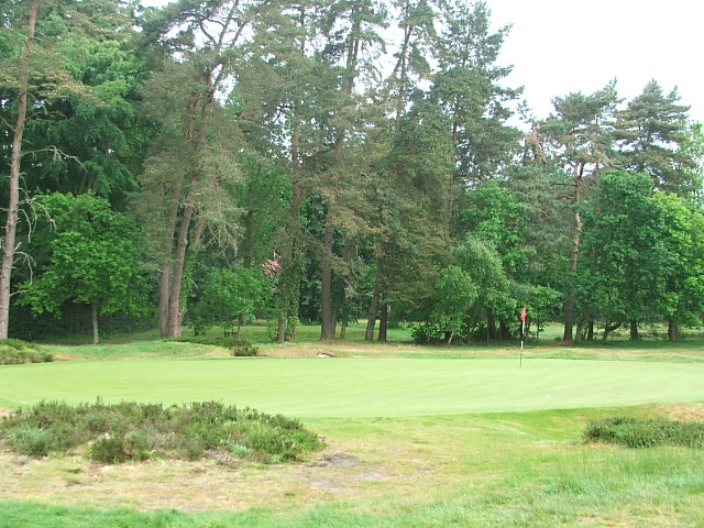 3rd green from rear
