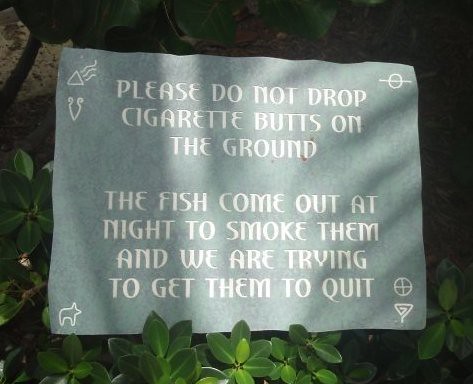 PLEASE DO NOT DROP CIGARETTE BUTTS ON THE GROUND. THE FISH COME OUT AT NIGHT TO SMOKE THEM AND WE ARE TRYING TO GET THEM TO QUIT. 