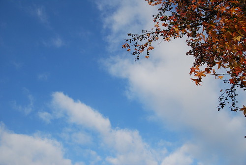 fall sky