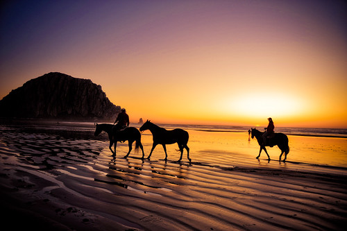  フリー画像| 自然風景| ビーチ/海辺| 夕日/夕焼け/夕暮れ| モロベイ| アメリカ風景| 馬/ウマ|     フリー素材| 