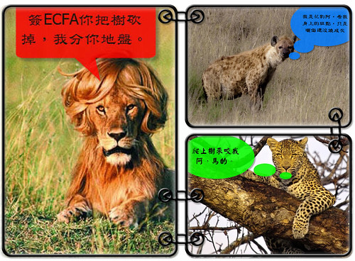 ECFA第一次就上手之獅子，鬣狗，花豹