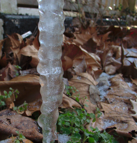 Icicle Close Up