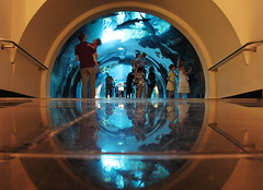 Dubai Mall Aquarium Entrance