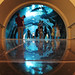 Dubai Mall Aquarium Entrance