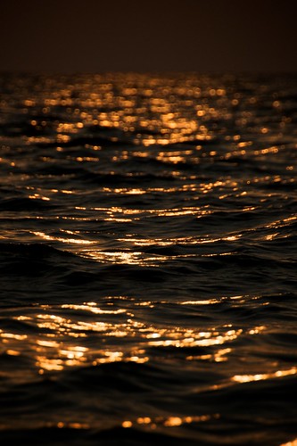 Golden Waters of Tonle? Sap