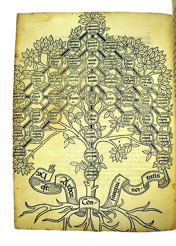 Woodcut diagram from Andreae, Johannes: Super arboribus consanguinitatis, affinitatis et cognationis spiritualis
