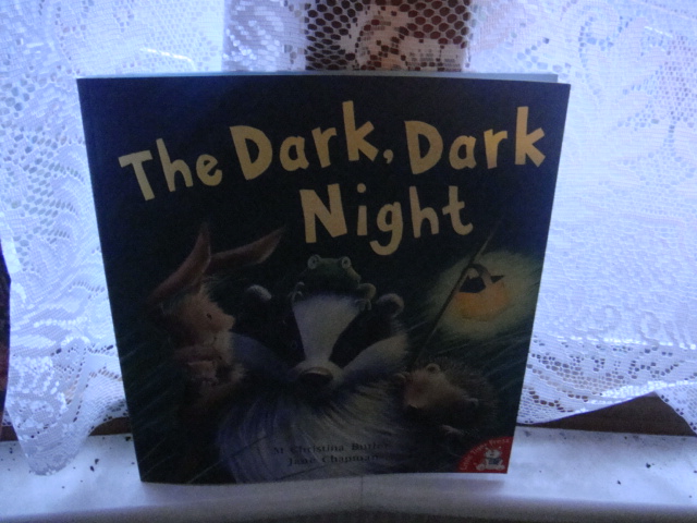 the dark dark night by livhouse the paronomeister
