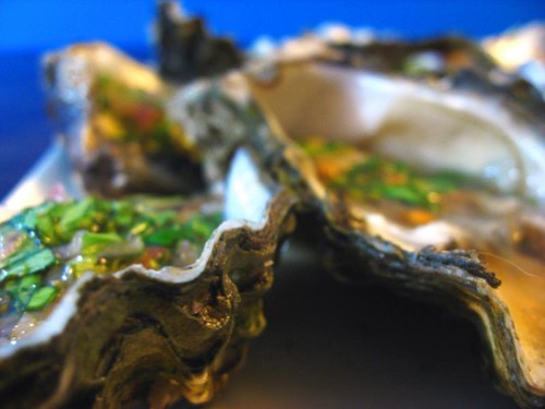 Oysters from El Delfin