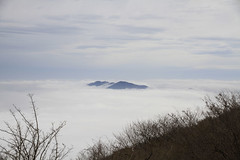 CANON EOS 7D 筑波山の雲海
