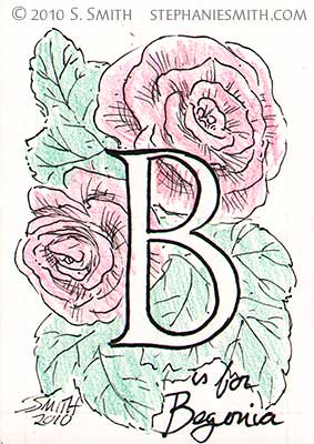 B is for Begonia