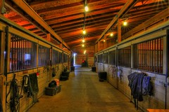 Highmark Farm - Inside the barn